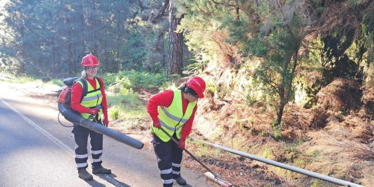 El Cabildo de La Palma activa 195 contratos con el Plan Integral de Empleo y refuerza servicios sociales, obras y medioambiente