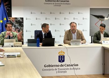 La Palma exige al Gobierno canario fechas concretas para tres obras eléctricas y la nueva planta de Los Morenos