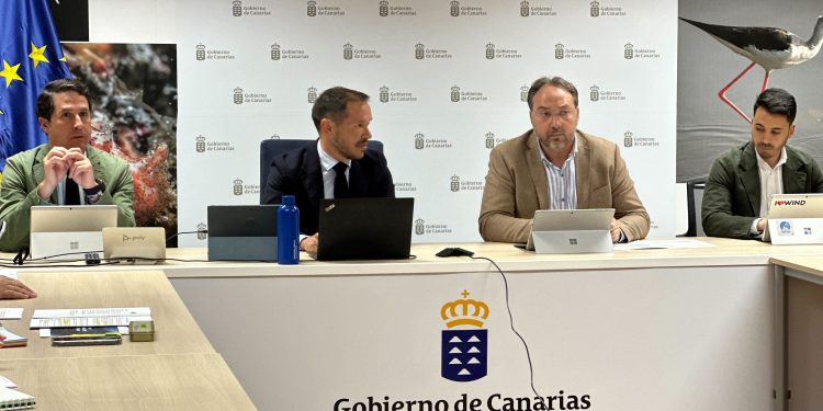 La Palma exige al Gobierno canario fechas concretas para tres obras eléctricas y la nueva planta de Los Morenos