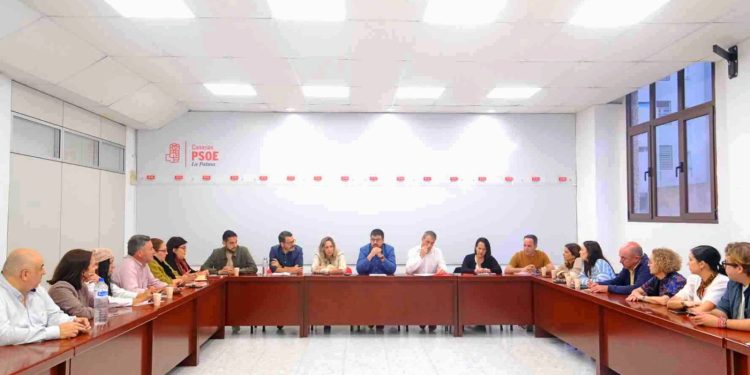 Advierten de un retroceso en la transparencia y la calidad democrática en varios ayuntamientos de La Palma