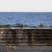 El PSOE denuncia el abandono de la playa de Santa Cruz de La Palma y exige reabrir los accesos cerrados