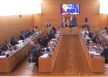 Las sugerencias de las asociaciones palmeras llegan al cabildo de tenerife para blindar la seguridad jurídica y la transparencia