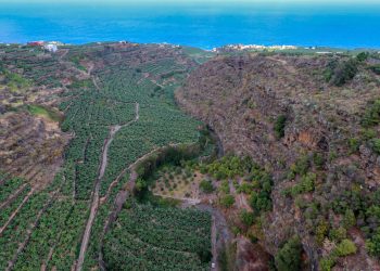 La Palma afronta un martes de calor sofocante con el oeste por encima de los 34 grados