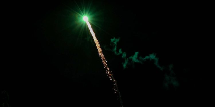 Cuando suenan los voladores: las Cruces, la fiesta del barrio y los animales que la sufren