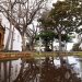 Miércoles de paraguas en el norte y este de La Palma: el oeste se mojará después de comer
