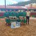 Lucha Canaria en La Palma: nueve luchadas esta semana entre la Copa Cabildo Insular y la Copa Provincial Cajasiete