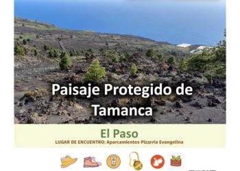 Sin Rabo Gato La Palma vuelve a El Paso con su 119ª acción medioambiental en el Paisaje Protegido de Tamanca este sábado