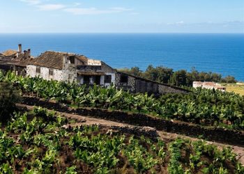Donde el silencio rezaba entre cañaverales: el Convento de La Piedad