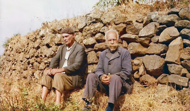 Recuerdos que me sostienen: Las moras, los albaricoques y el silencio de José Antonio (XI)