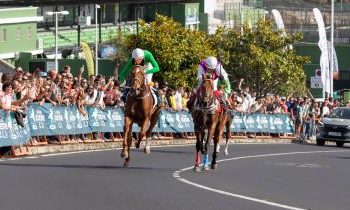 La Palma Ecuestre vuelve este sábado a Todoque con carreras de velocidad y distancia