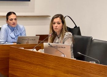 Miriam Perestelo defiende el «rigor técnico» en la gestión del patrimonio cultural y propone una mesa específica sobre museos