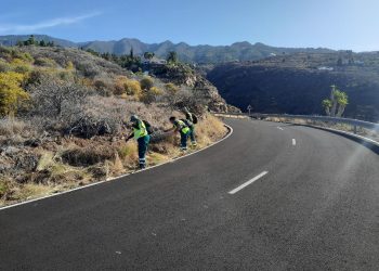 Empleo verde en La Palma: 46 personas trabajaron nueve meses en el cuidado de la isla