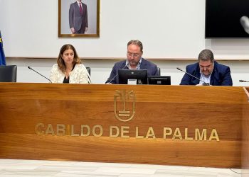 La Palma cierra 2025 sin accidentes laborales mortales y arranca 2026 con 51 casos leves menos que el año pasado