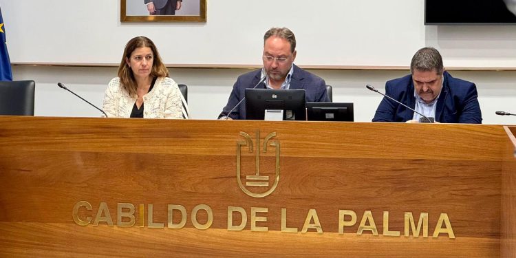 La Palma cierra 2025 sin accidentes laborales mortales y arranca 2026 con 51 casos leves menos que el año pasado