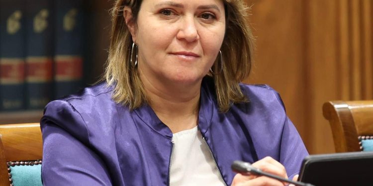 El Gobierno canario vuelve a denegar a la diputada palmera Alicia Vanoostende el listado de las ayudas del volcán, pese a que la Mesa del Parlamento le había dado la razón