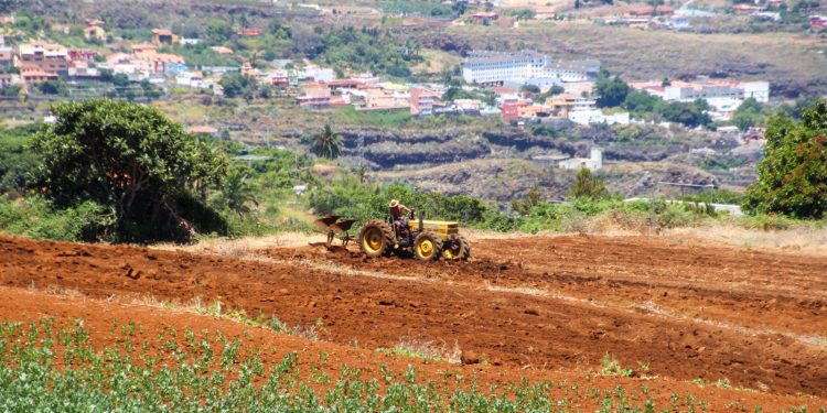 El tiempo en La Palma: un sábado de calor con hasta 29 grados y sol pleno en el oeste
