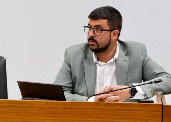 El PSOE defiende medidas ante la falta de fitosanitarios e insta al Gobierno canario a cumplir con su tarea