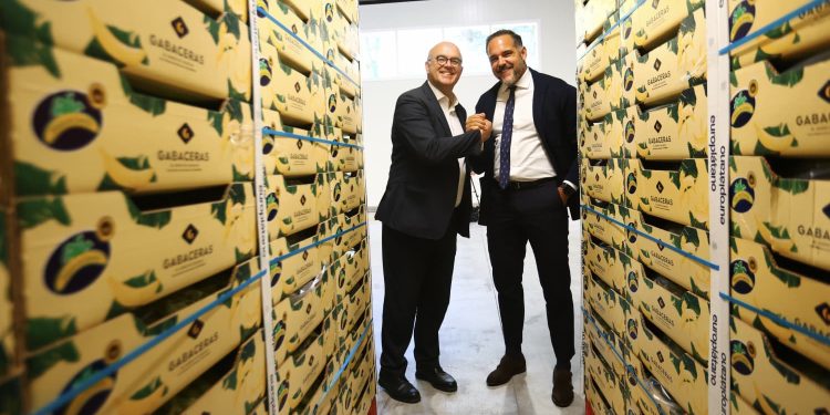 El plátano de Canarias estrena una gran planta de maduración para crecer en el norte de España