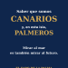 Buenas Noches La Palma · Viernes 29 de mayo de 2026: mañana, Canarias se mira a sí misma en ocho islas