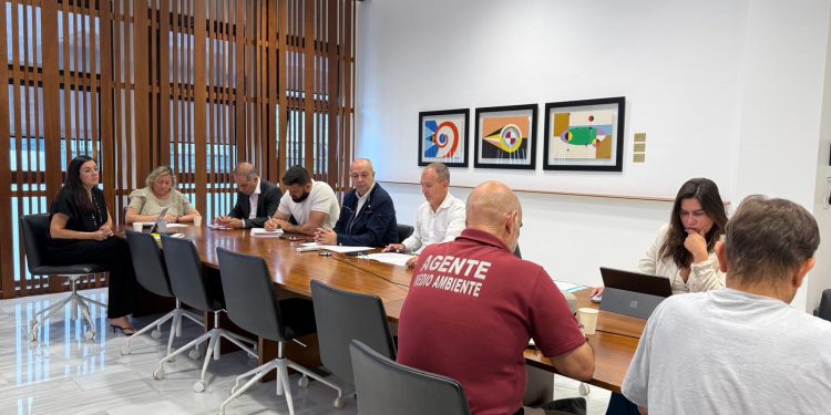 Cuatro casas más recuperan la vida: el Cabildo abre el regreso a dos viviendas en Puerto Naos y otras dos en La Bombilla