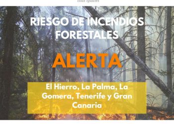 Calor y monte seco: La Palma sigue en alerta por riesgo de incendios esta semana, con hasta 35 grados