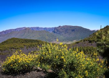 El tiempo del martes 2 de junio en La Palma: inversión clavada a 600 metros, mar de nubes que se abre al mediodía y oeste soleado de cabo a rabo
