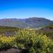 El tiempo del martes 2 de junio en La Palma: inversión clavada a 600 metros, mar de nubes que se abre al mediodía y oeste soleado de cabo a rabo