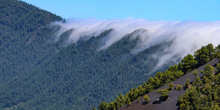 El tiempo de la semana en La Palma: alisio húmedo hasta el miércoles y giro a un tiempo más veraniego desde el jueves