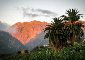 El tiempo del miércoles 3 de junio en La Palma: el mar de nubes engorda hasta los 800 metros, el Valle de Aridane mantiene el sol y la marejada arrecia al noreste