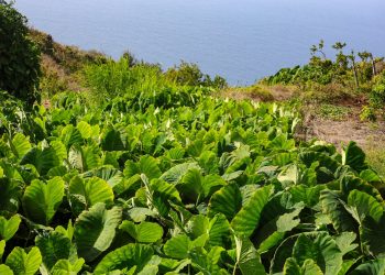 El tiempo del sábado en La Palma: sol pleno desde media mañana, brisas suaves y mar en calma