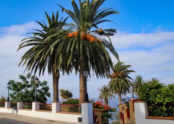El tiempo en La Palma: semana de anticiclón, sol y alisios flojos, con alguna llovizna solo el domingo en el norte