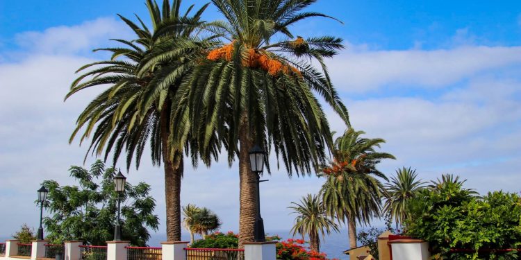 El tiempo en La Palma: semana de anticiclón, sol y alisios flojos, con alguna llovizna solo el domingo en el norte