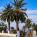 El tiempo en La Palma: semana de anticiclón, sol y alisios flojos, con alguna llovizna solo el domingo en el norte