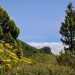 El tiempo del miércoles en La Palma: julio arranca con aviso por calor y hasta 38 grados en las cumbres del oeste