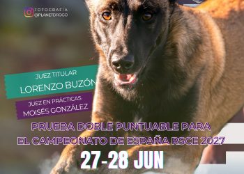Breña Baja acoge este fin de semana una doble prueba de Agility puntuable para el Campeonato de España