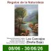 La naturaleza pintada de Gloria Valiente se cuelga en Los Cancajos hasta el 30 de junio