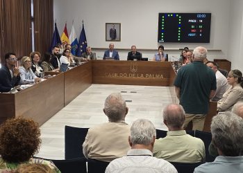 El Cabildo quiere la Medalla de la Isla para la Sociedad Económica de Amigos del País, que cumple 250 años