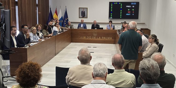 El Cabildo quiere la Medalla de la Isla para la Sociedad Económica de Amigos del País, que cumple 250 años