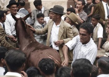 Las carreras de caballos de las fiestas de Montserrat: la pasión ecuestre que movilizaba a toda La Palma