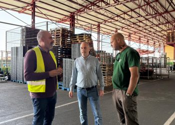 El mojo, desde la raíz: el Cabildo impulsa la pimienta palmera de kilómetro cero, ya reconocida como variedad única