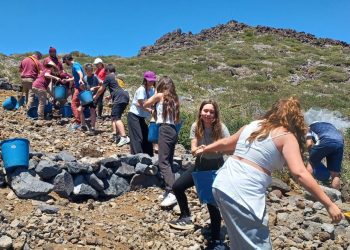 Alumnos del CEO Tijarafe plantan 80 ejemplares de flora amenazada en el Pico de La Cruz, en la Caldera de Taburiente