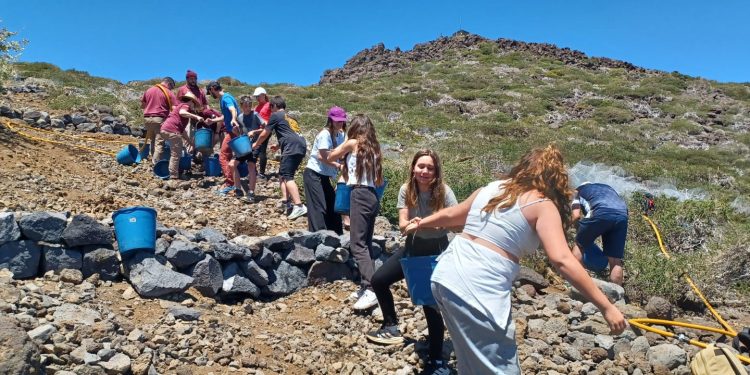 Alumnos del CEO Tijarafe plantan 80 ejemplares de flora amenazada en el Pico de La Cruz, en la Caldera de Taburiente