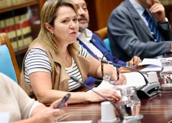 El PSOE lleva al Pleno la batalla por el listado de las ayudas del Tajogaite