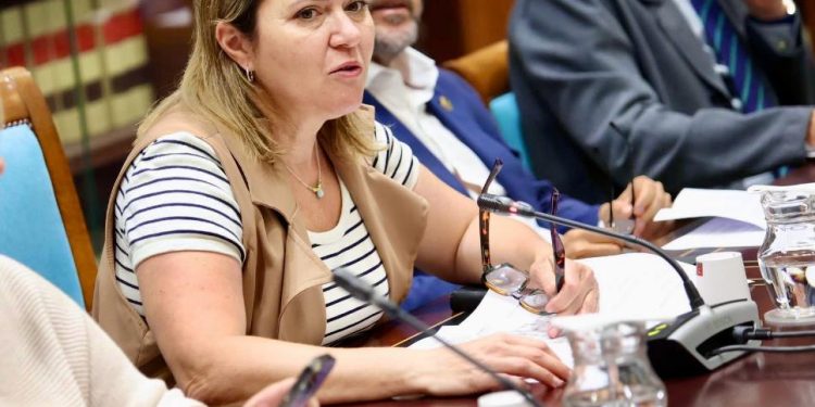 El PSOE lleva al Pleno la batalla por el listado de las ayudas del Tajogaite