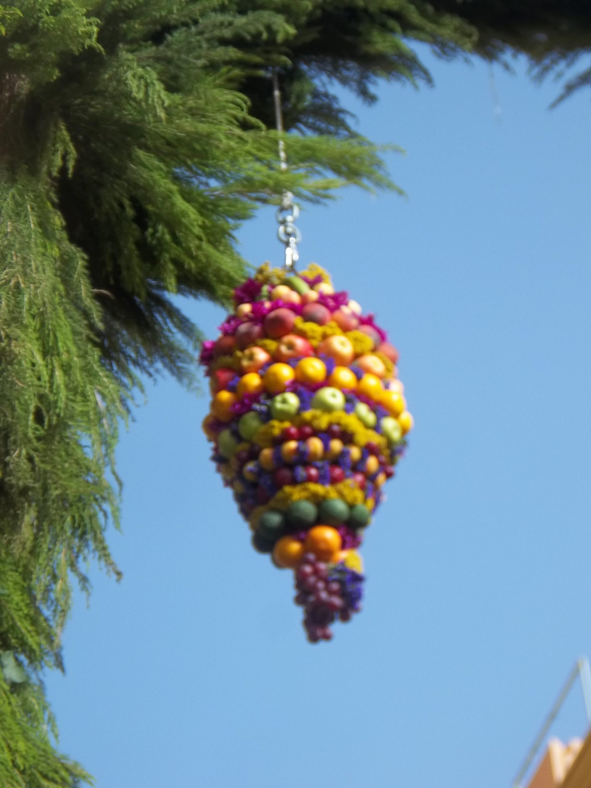La procesión de San Pedro y San Isidro por la Calle del Arco de Breña Alta (2012).