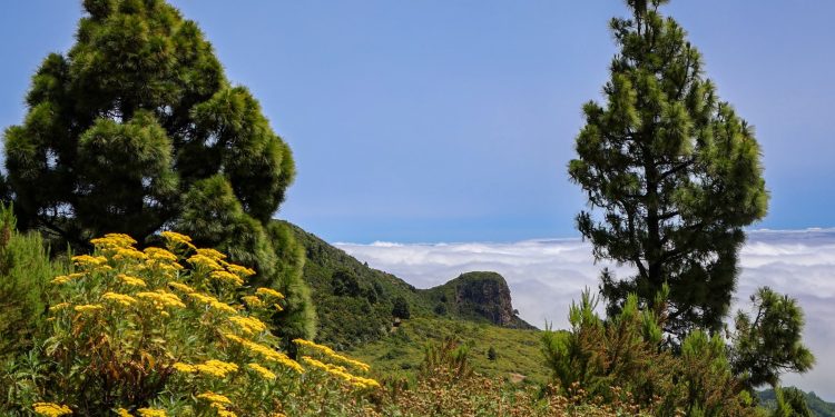 Buenas Noches La Palma · martes 30 de junio de 2026