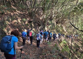 Del Roque de Los Muchachos al Puerto de Tazacorte: El Atajo encara este sábado su caminata número 994