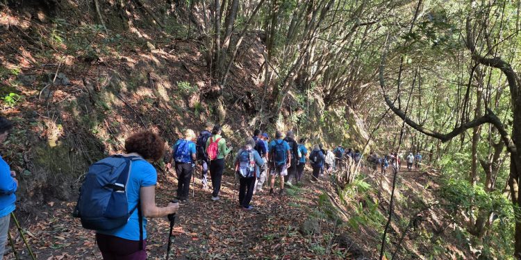 Del Roque de Los Muchachos al Puerto de Tazacorte: El Atajo encara este sábado su caminata número 994