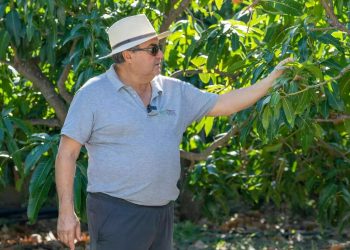 Premios de Turismo Islas Canarias 2026: Ecofinca Nogales, en Puntallana, premio a la Innovación, y La Palma, mejor destino sostenible