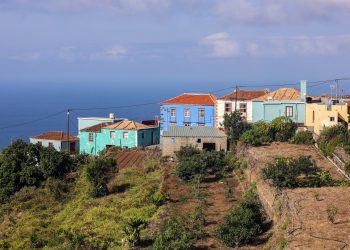 La papa se encarece un 19% en origen en Canarias, una subida que también nota el campo palmero